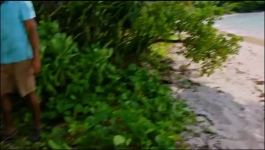 Survivor - Season 43 Episode 05